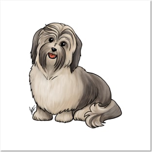 Dog - Havanese - Sable Posters and Art